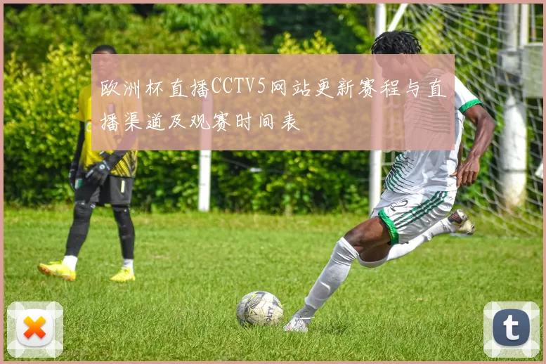 欧洲杯直播CCTV5网站更新赛程与直播渠道及观赛时间表