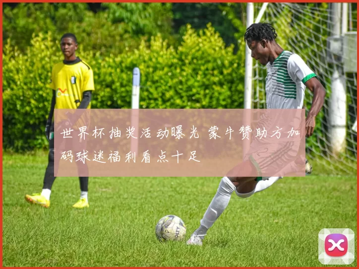 世界杯抽奖活动曝光 蒙牛赞助方加码球迷福利看点十足